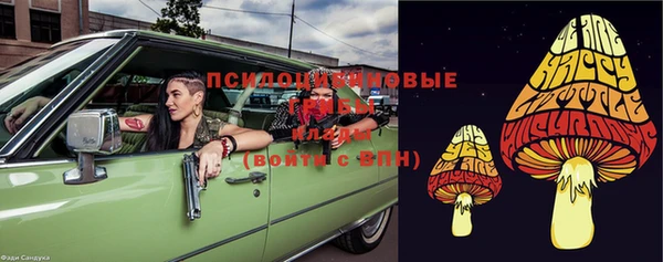 спайс Алексин