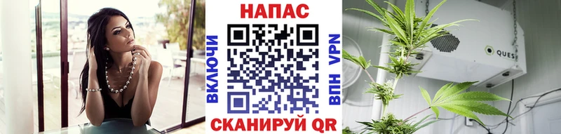 Шишки марихуана сатива где найти наркотики Асино